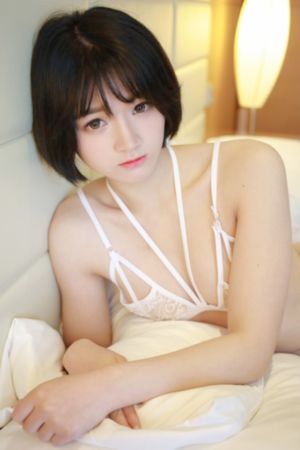 女房客在线观看_BD英语免费电视剧
